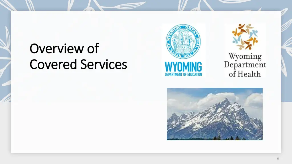 overview of overview of covered services covered
