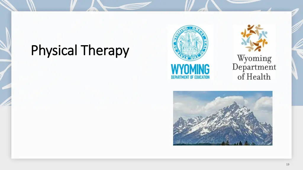 physical therapy physical therapy