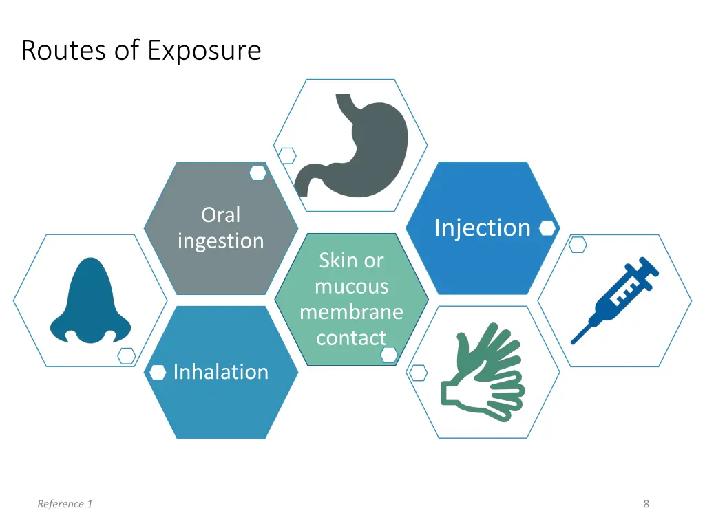 routes of exposure