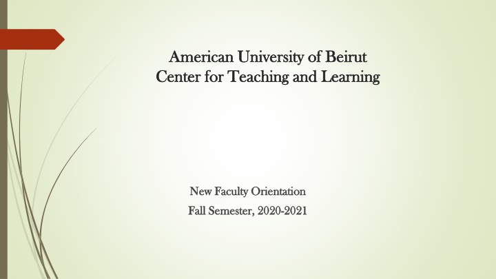 american university of beirut american university