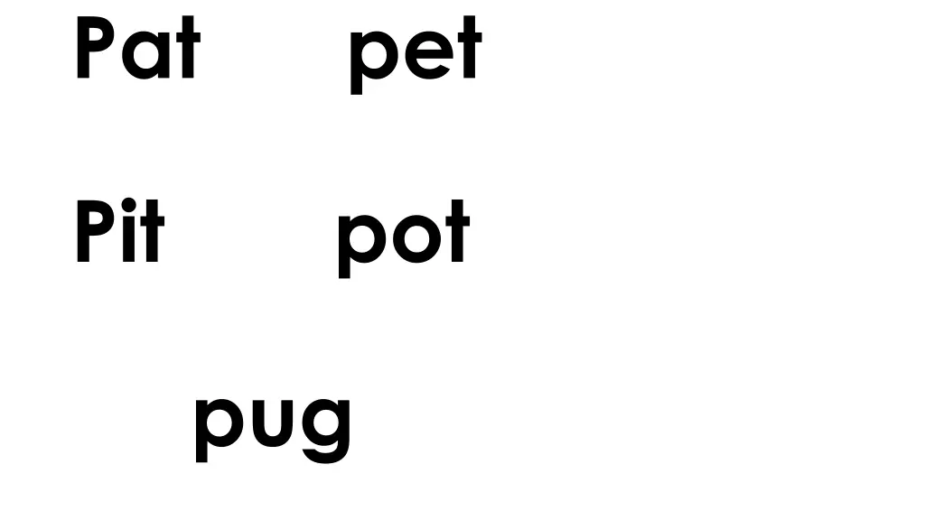 pat pet