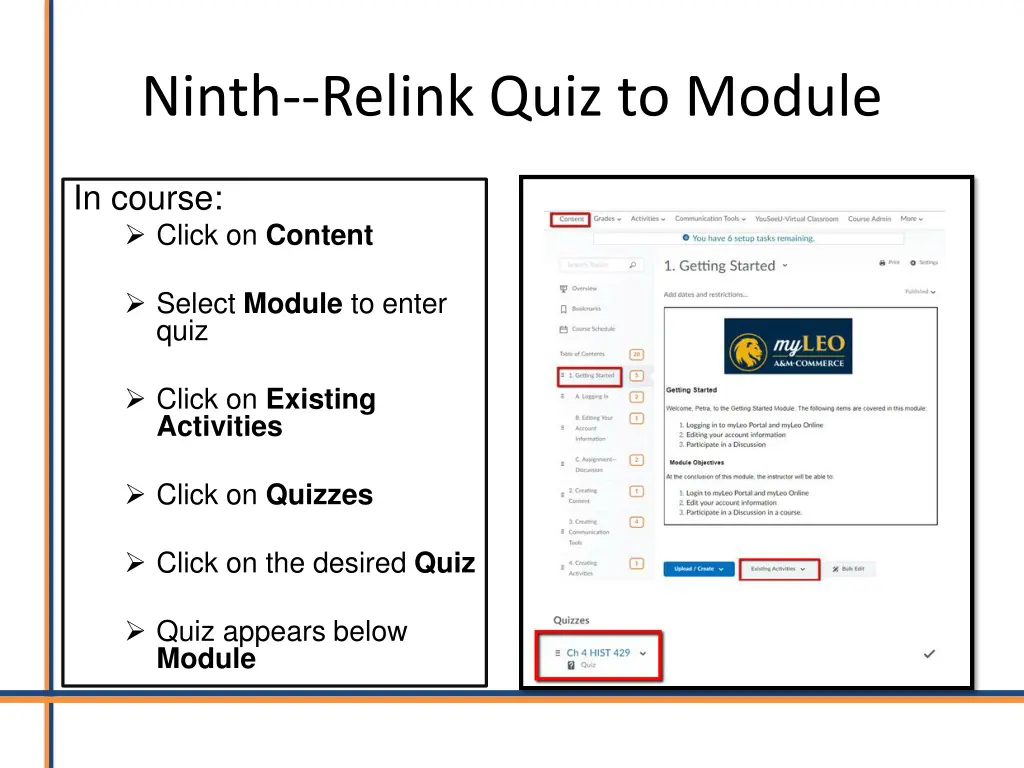 ninth relink quiz to module