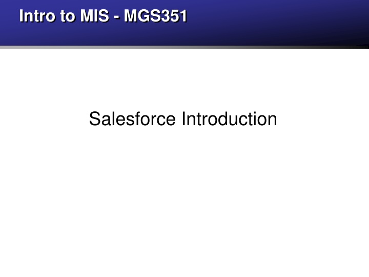 intro to mis mgs351