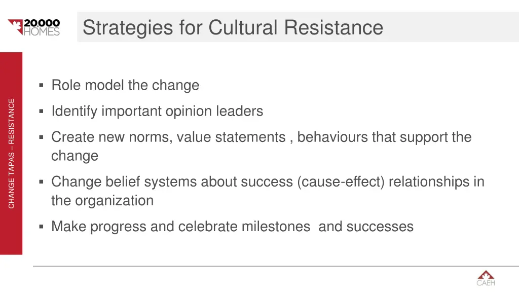 strategies for cultural resistance