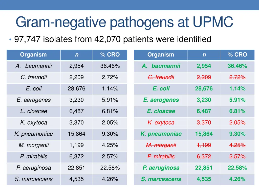 gram negative pathogens at upmc