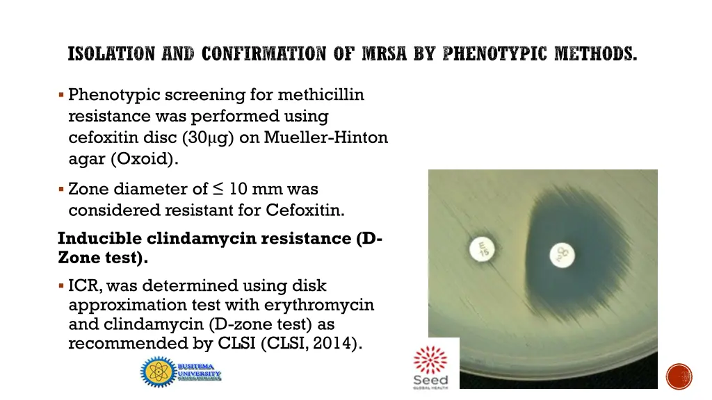 isolation and confirmation of mrsa by phenotypic