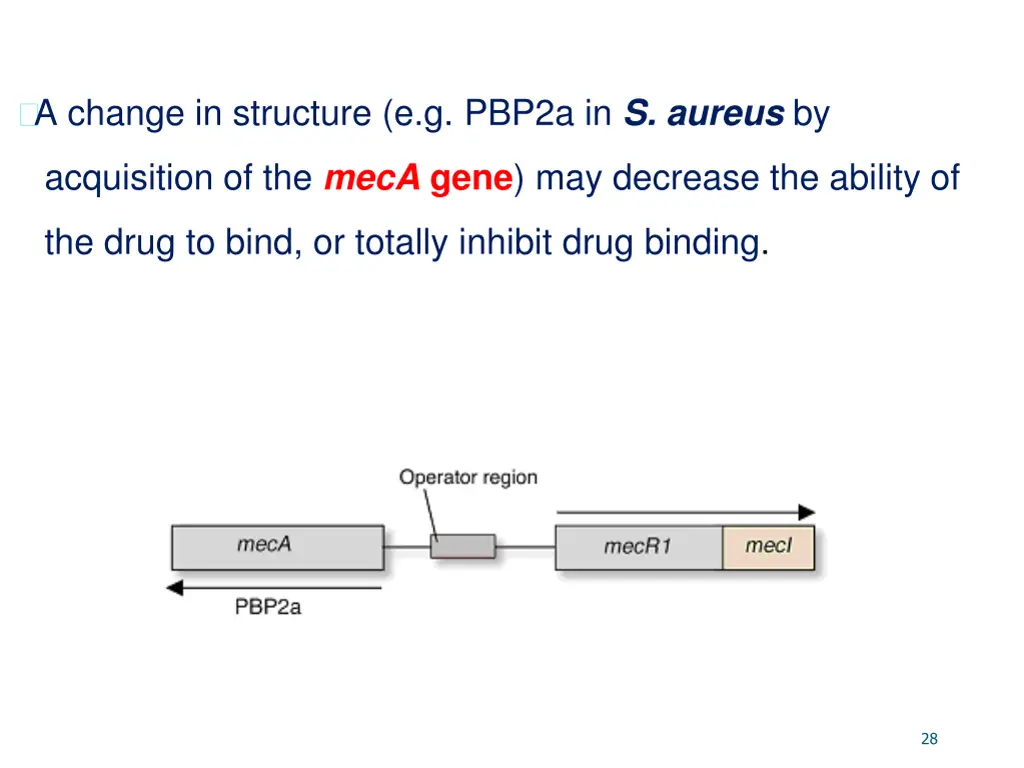a change in structure e g pbp2a in s aureus by