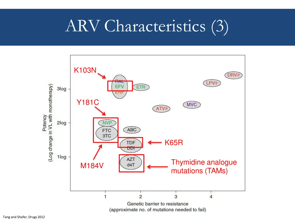 arv characteristics 3