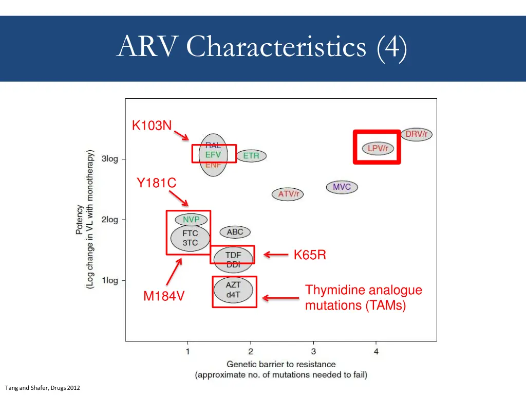 arv characteristics 4