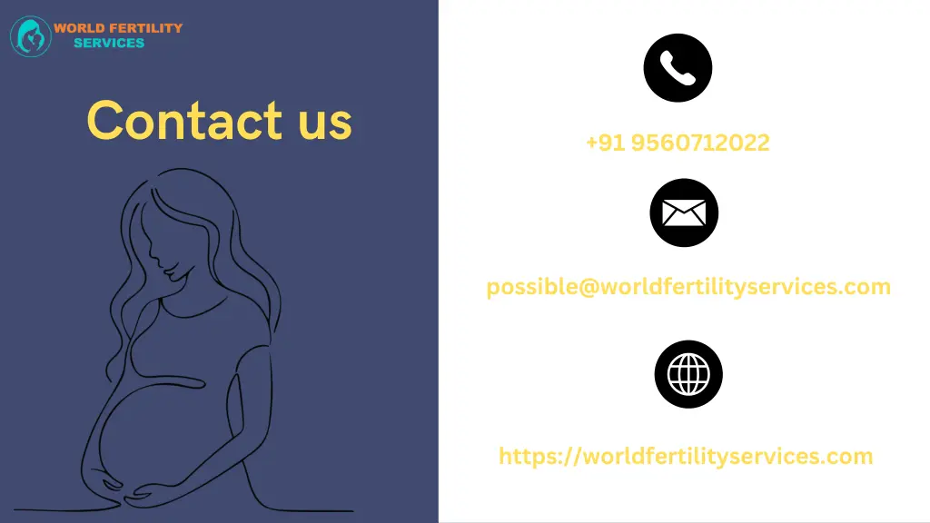 contact us