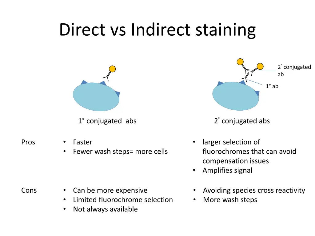 direct vs indirect staining