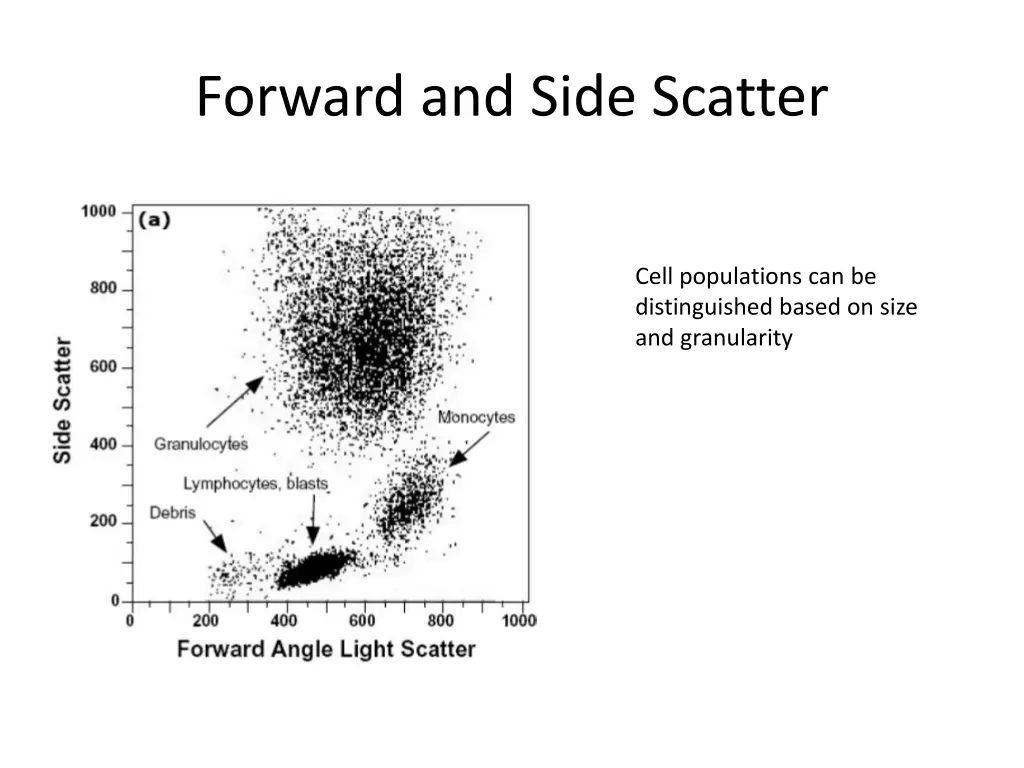 forward and side scatter 1