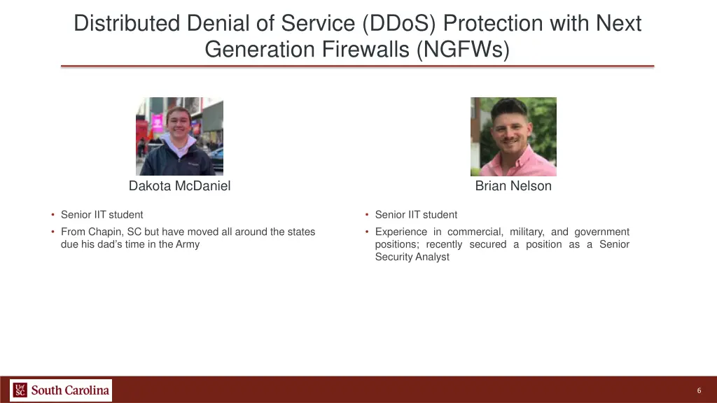 distributed denial of service ddos protection