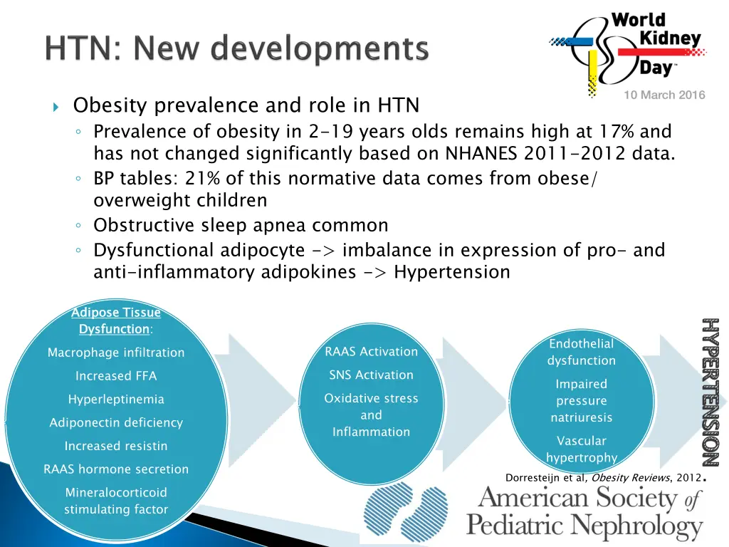 obesity prevalence and role in htn prevalence