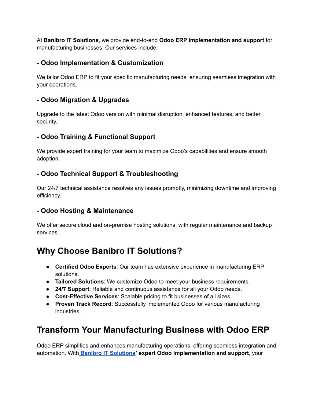 at banibro it solutions we provide
