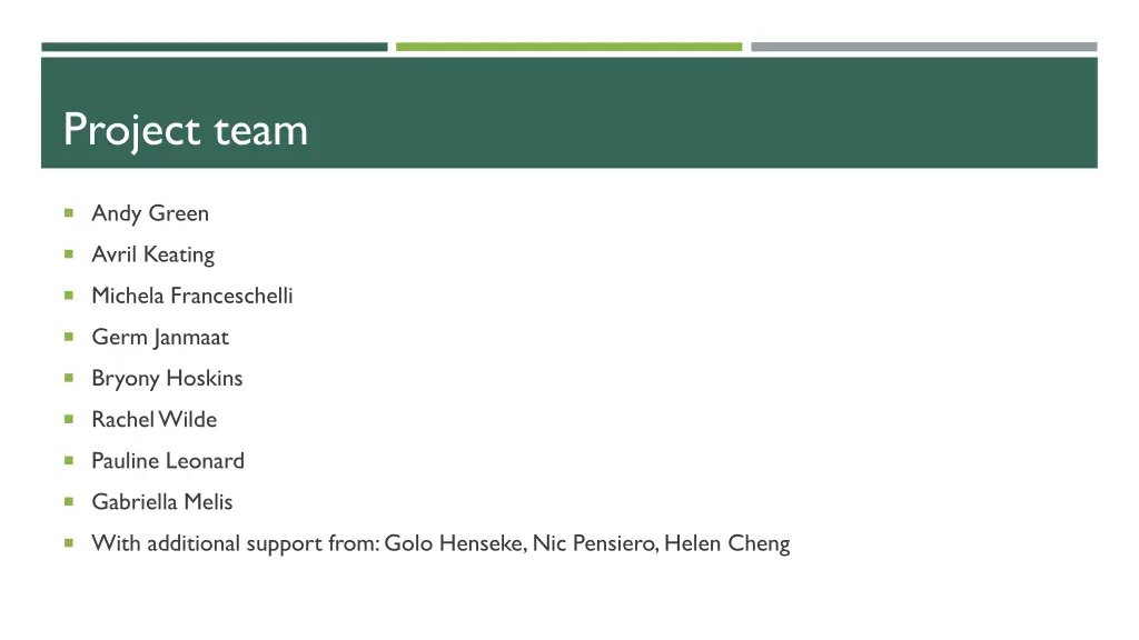 project team