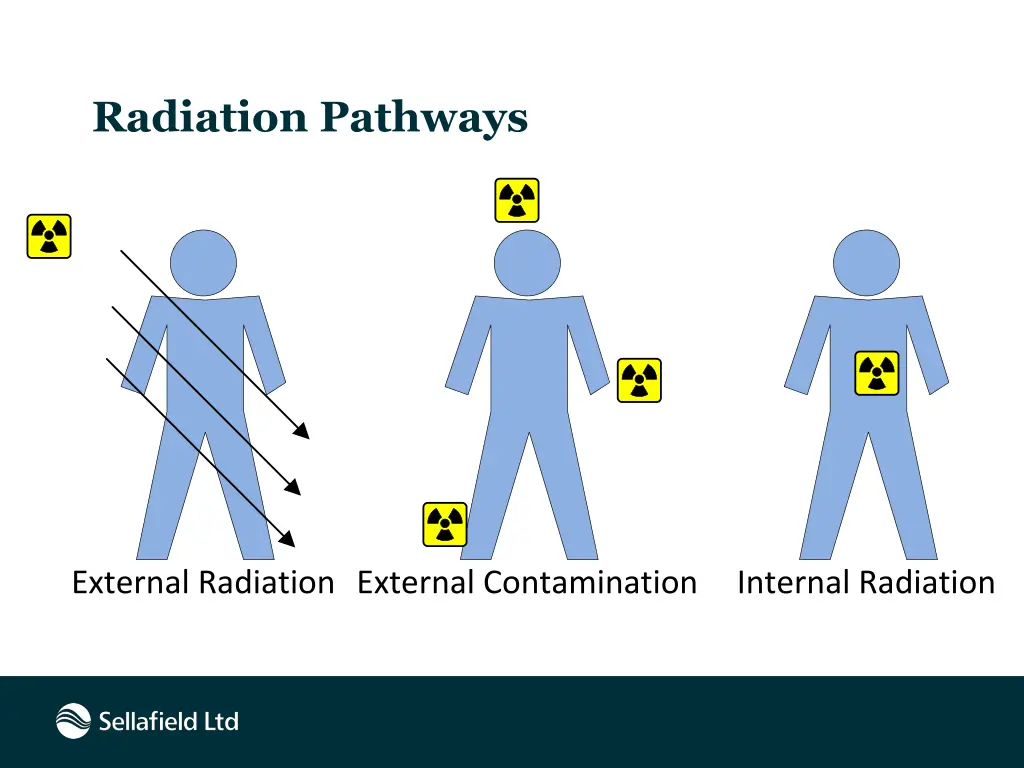 radiation pathways