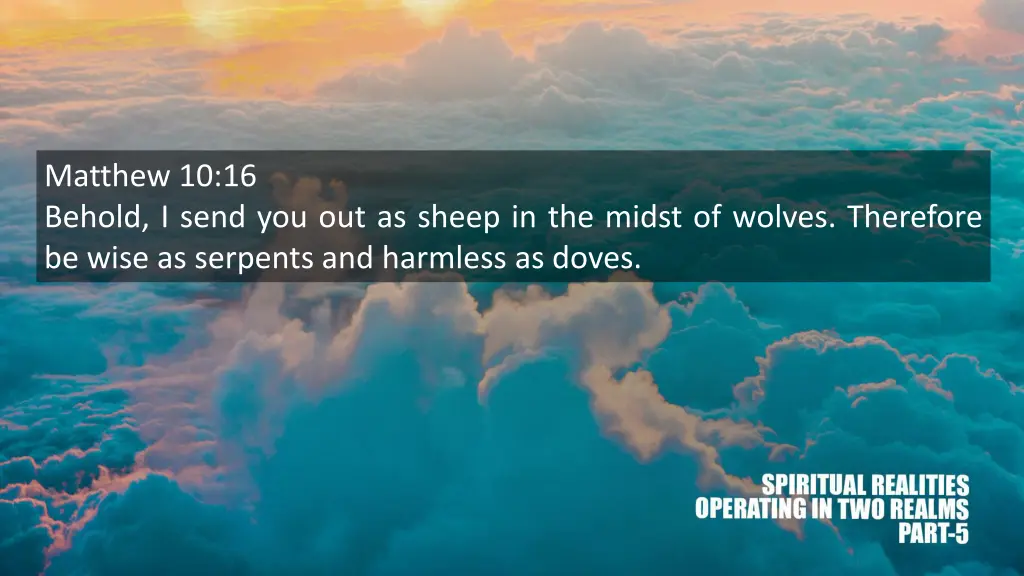 matthew 10 16 behold i send you out as sheep