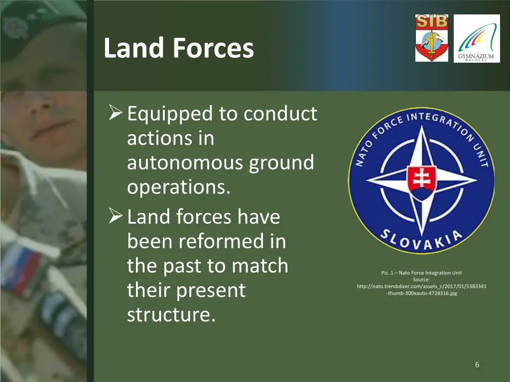 land forces
