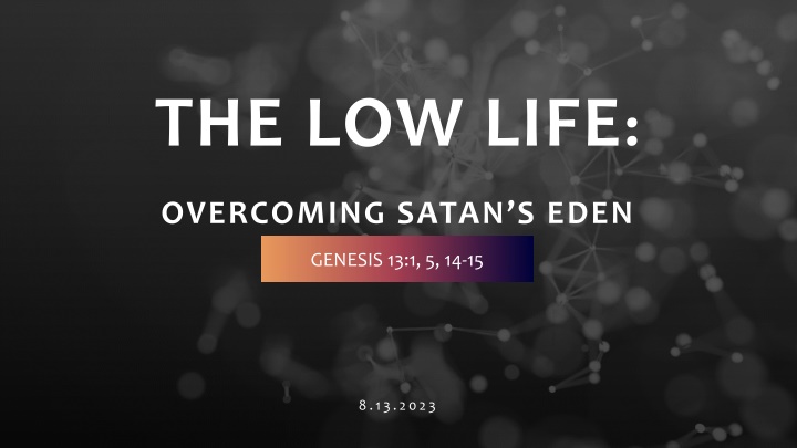 the low life