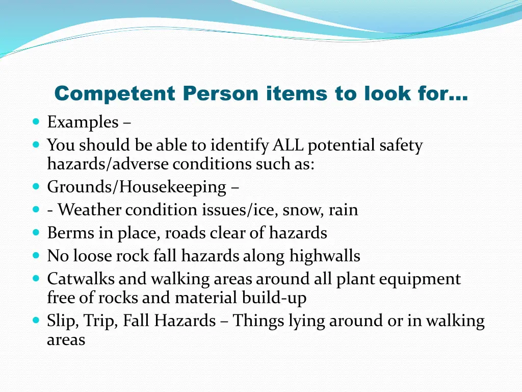 competent person items to look for examples