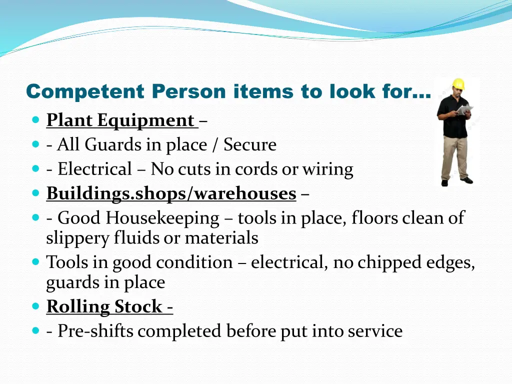 competent person items to look for plant