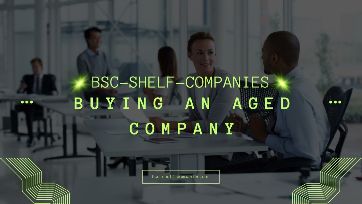 bsc shelf companies