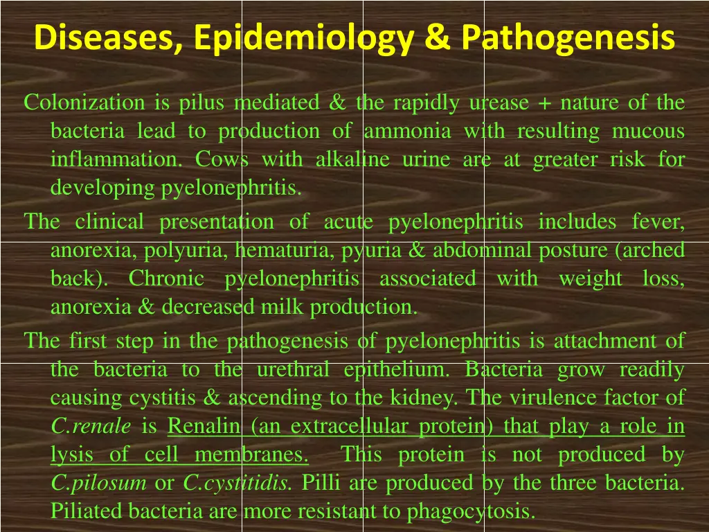 diseases epidemiology pathogenesis 1