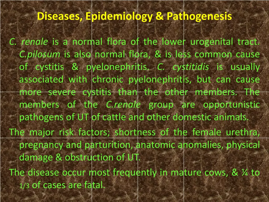 diseases epidemiology pathogenesis