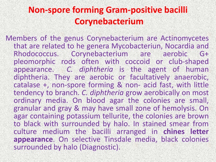 non spore forming gram positive bacilli