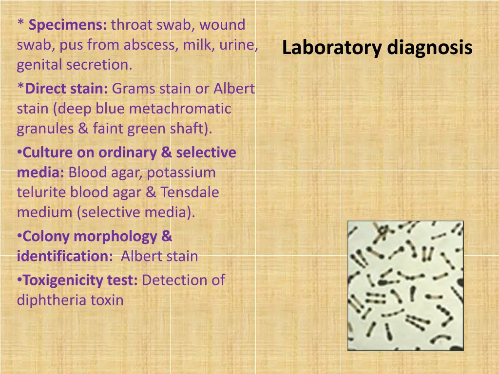 specimens throat swab wound swab pus from abscess