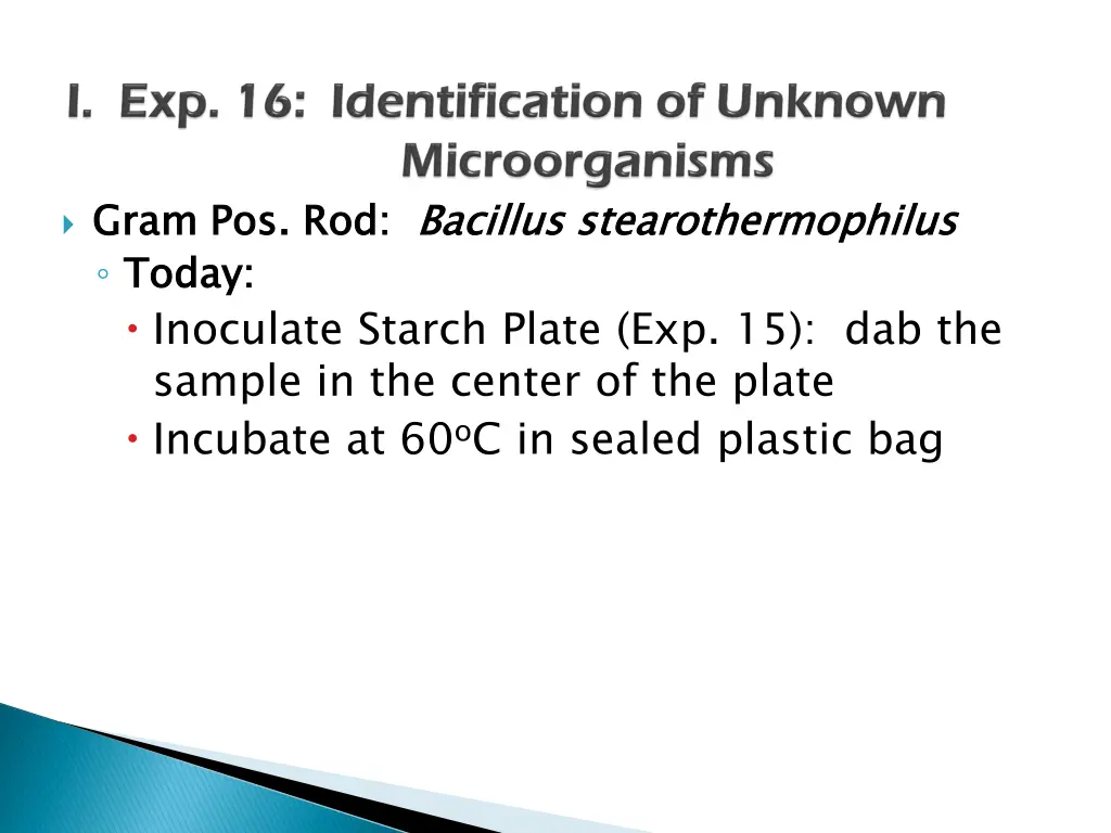 gram pos rod today inoculate starch plate