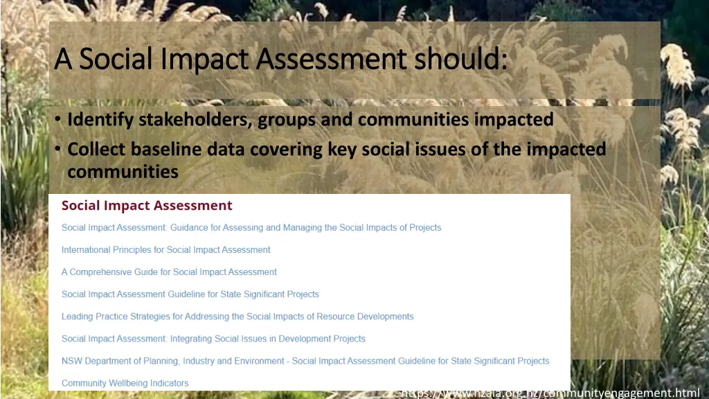 a social impact assessment should a social impact