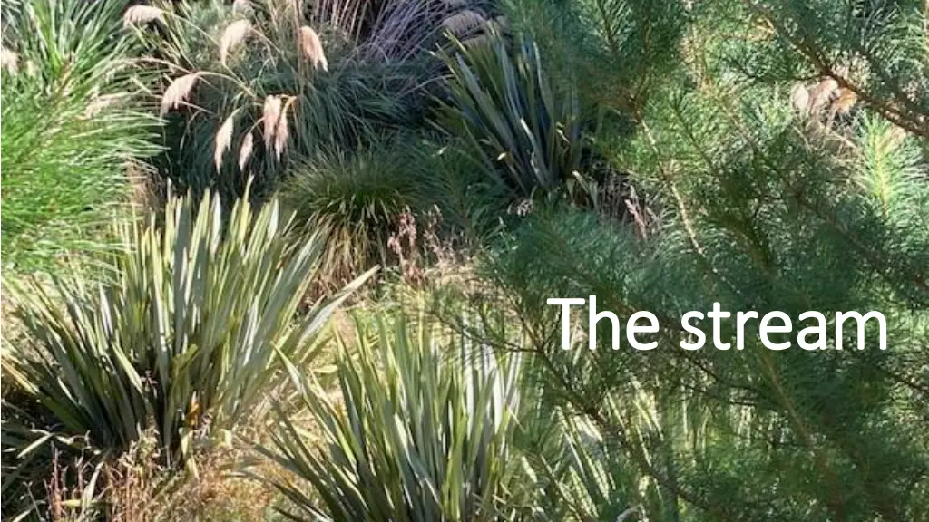 the stream the stream