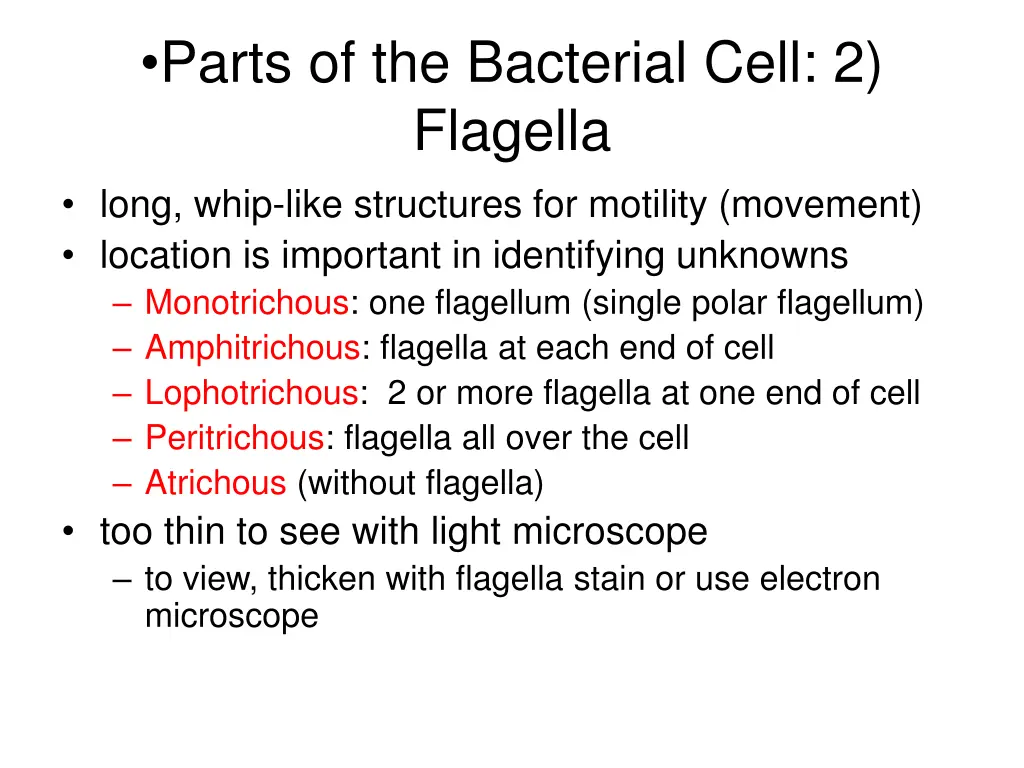 parts of the bacterial cell 2 flagella long whip