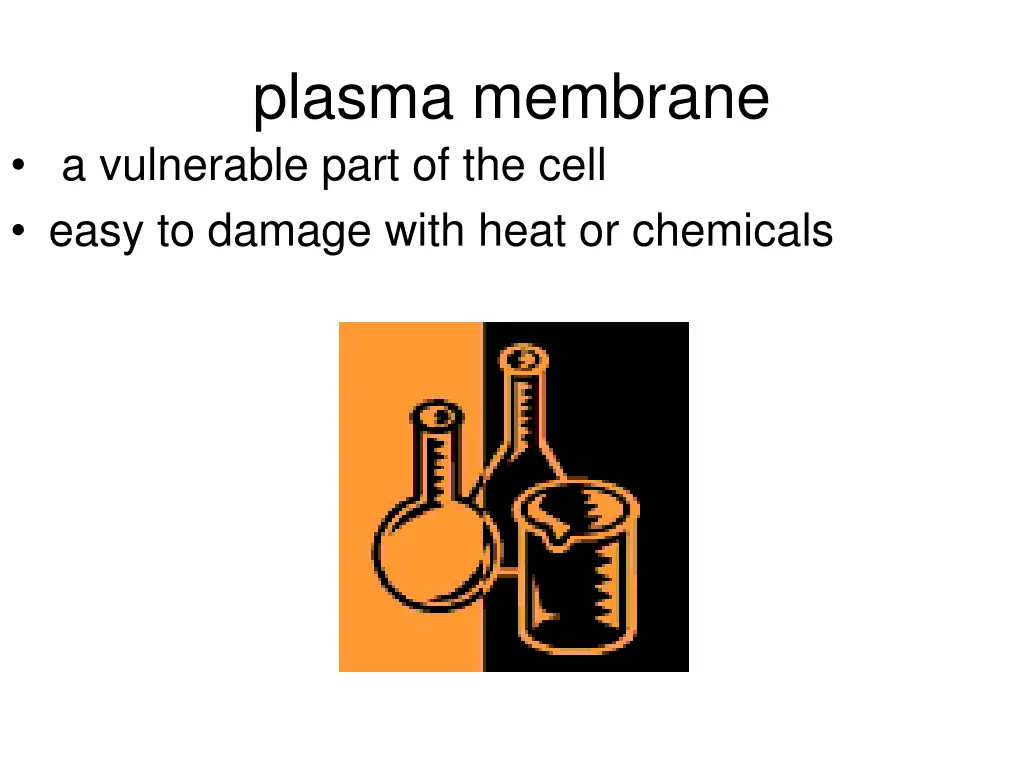 plasma membrane a vulnerable part of the cell