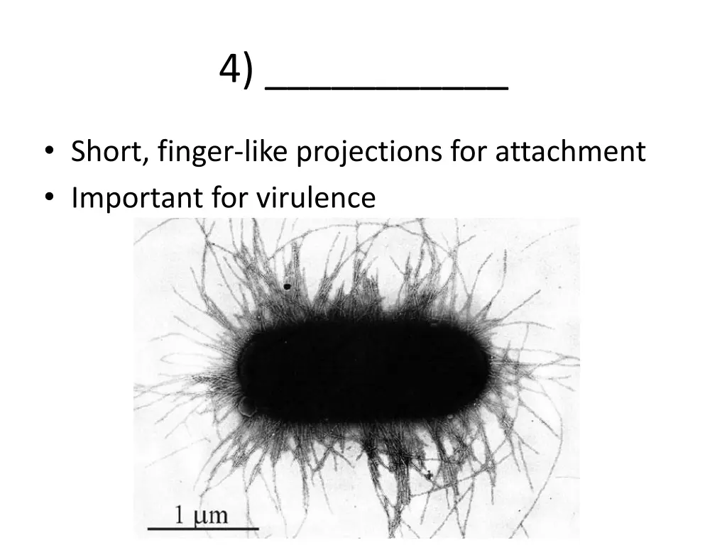 slide23