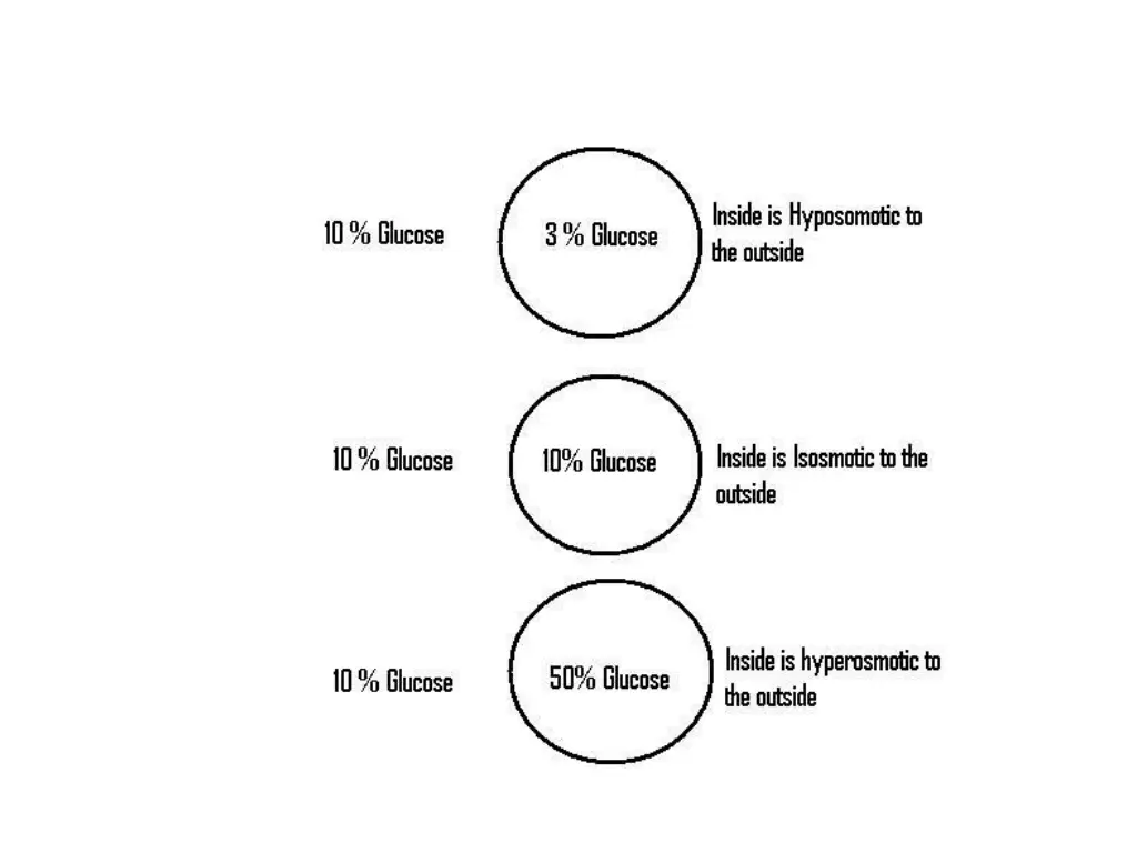 slide43
