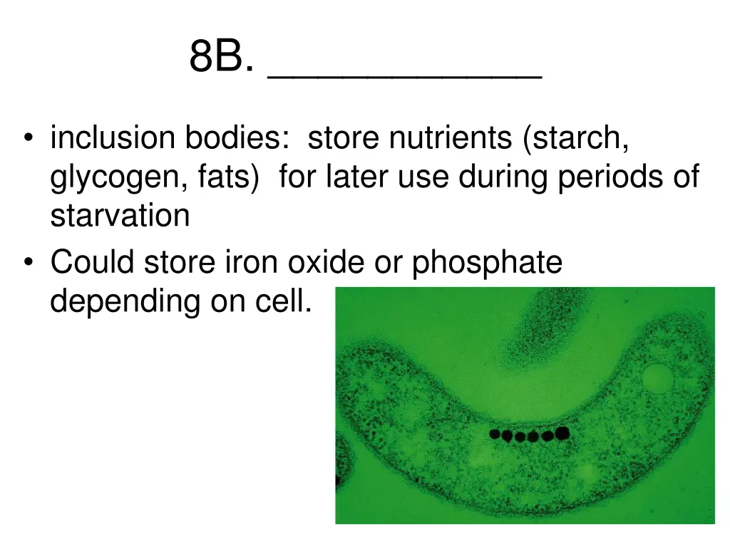 slide50