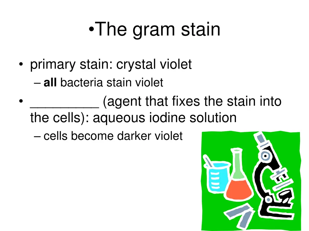 the gram stain