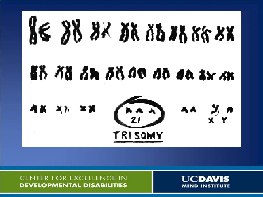 slide6