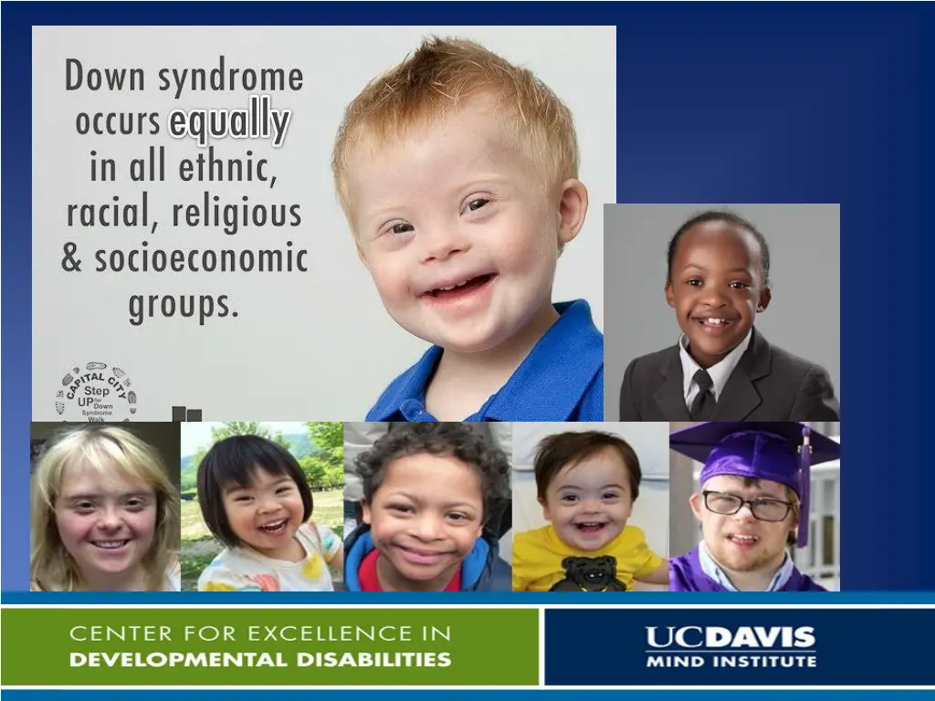 slide8