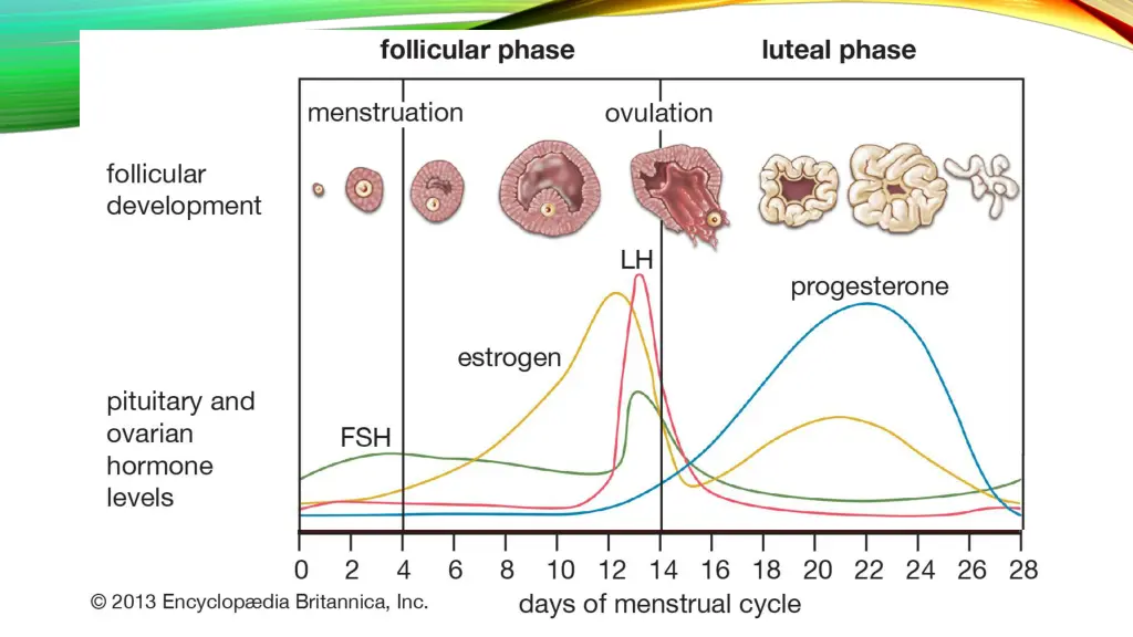 slide8