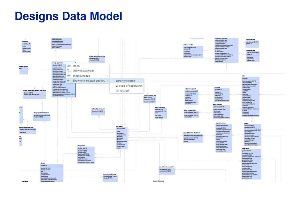 designs data model
