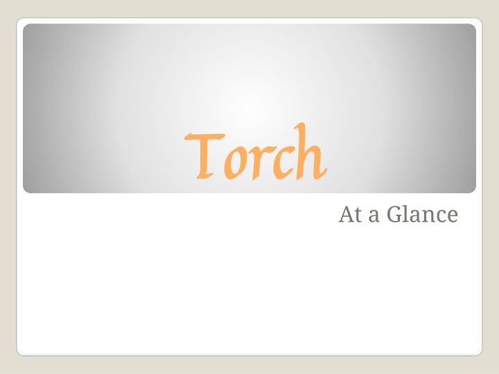 torch