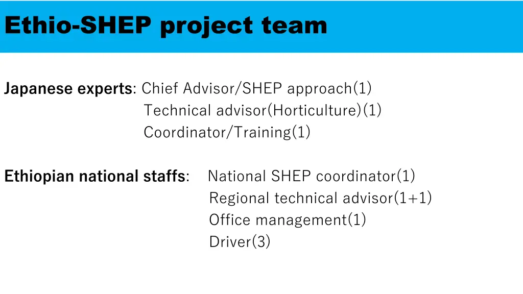 ethio shep project team