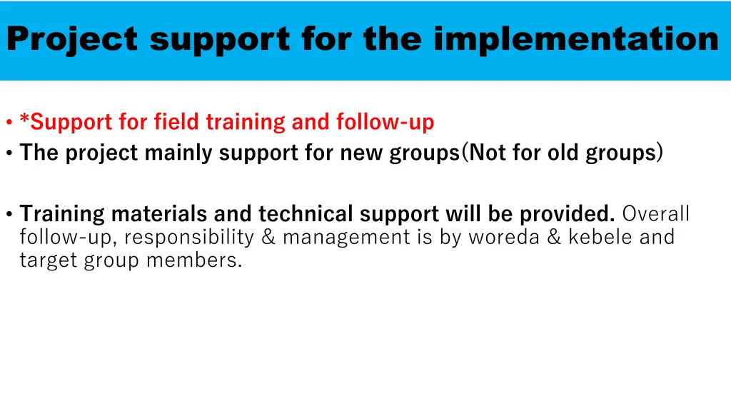 project support for the implementation 3