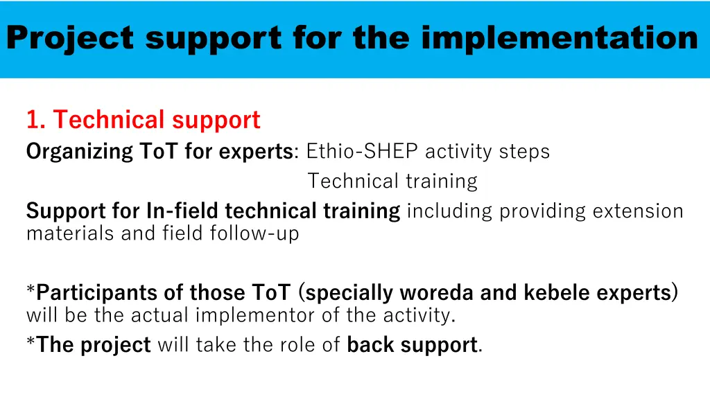 project support for the implementation