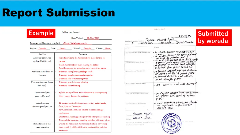 report submission