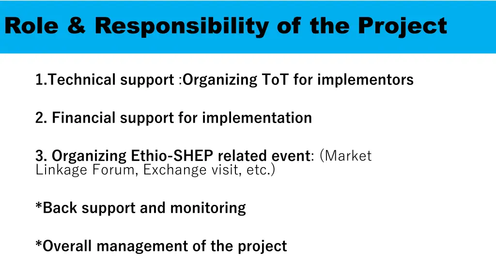 role responsibility of the project